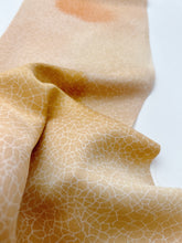 画像をギャラリービューアに読み込む, 地割れ模様に雲暈し模様【六つ釦】