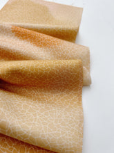 画像をギャラリービューアに読み込む, 地割れ模様に雲暈し模様【六つ釦】