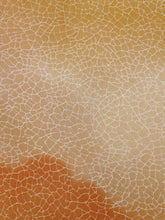 画像をギャラリービューアに読み込む, 地割れ模様に雲暈し模様【六つ釦】