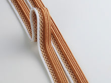 画像をギャラリービューアに読み込む, 御岳組×二色本貝ノ口組締め