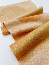 画像をギャラリービューアに読み込む, 地割れ模様に雲暈し模様【六つ釦】