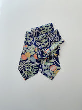 画像をギャラリービューアに読み込む, 菊尽くし【長】