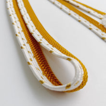 画像をギャラリービューアに読み込む, 変わり組×金糸御岳組締め