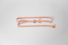 画像をギャラリービューアに読み込む, 単色変わり組