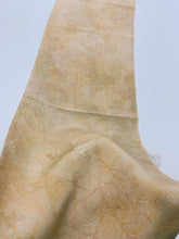 画像をギャラリービューアに読み込む, 雲波地紋に暈し模様【シュッケニ】