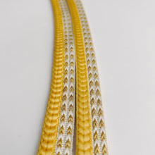 画像をギャラリービューアに読み込む, 変わり御岳組×変わり角八組締め