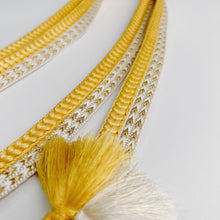 画像をギャラリービューアに読み込む, 変わり御岳組×変わり角八組締め