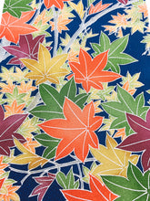 画像をギャラリービューアに読み込む, 楓模様【シュッケニ】