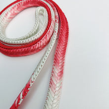 画像をギャラリービューアに読み込む, 暈し奈良組締め