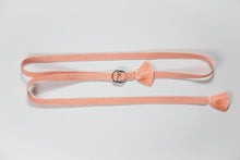 画像をギャラリービューアに読み込む, 単色変わり組