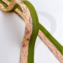 画像をギャラリービューアに読み込む, 変わり笹浪組×変わり笹浪組