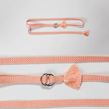 画像をギャラリービューアに読み込む, 単色変わり組