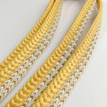 画像をギャラリービューアに読み込む, 変わり御岳組×変わり角八組締め