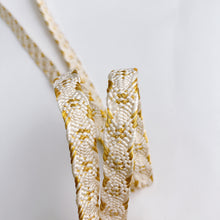 画像をギャラリービューアに読み込む, 変わり笹浪組締め金糸入り