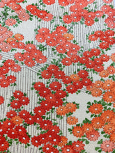 画像をギャラリービューアに読み込む, 菊模様【シュッケニ】