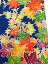 画像をギャラリービューアに読み込む, 楓模様【シュッケニ】