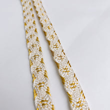 画像をギャラリービューアに読み込む, 変わり笹浪組締め金糸入り