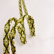 画像をギャラリービューアに読み込む, 唐組締め