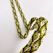 画像をギャラリービューアに読み込む, 唐組締め