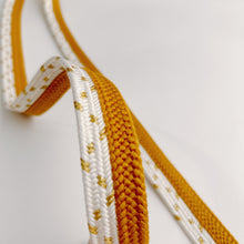 画像をギャラリービューアに読み込む, 変わり組×金糸御岳組締め