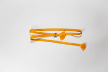 画像をギャラリービューアに読み込む, 内記組・大和組合わせ