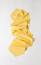 画像をギャラリービューアに読み込む, 【特長】扇に宝箱草木の総地紋模様