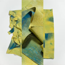 画像をギャラリービューアに読み込む, 森林暈し模様