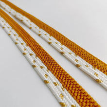 画像をギャラリービューアに読み込む, 変わり組×金糸御岳組締め