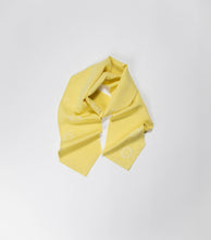 画像をギャラリービューアに読み込む, 抽象花模様暈し総地紋【長】