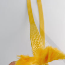 画像をギャラリービューアに読み込む, 変わり御岳組締め