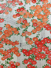 画像をギャラリービューアに読み込む, 菊模様【シュッケニ】