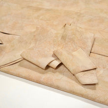 画像をギャラリービューアに読み込む, 雲波地紋に暈し模様【シュッケニ】