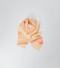 画像をギャラリービューアに読み込む, 逆雲取り暈し模様 【長】