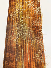 画像をギャラリービューアに読み込む, 樹木模様暈し模様