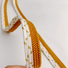 画像をギャラリービューアに読み込む, 変わり組×金糸御岳組締め