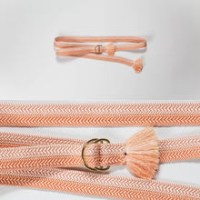 画像をギャラリービューアに読み込む, 御岳組×御岳組締め