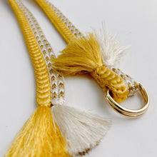 画像をギャラリービューアに読み込む, 変わり御岳組×変わり角八組締め