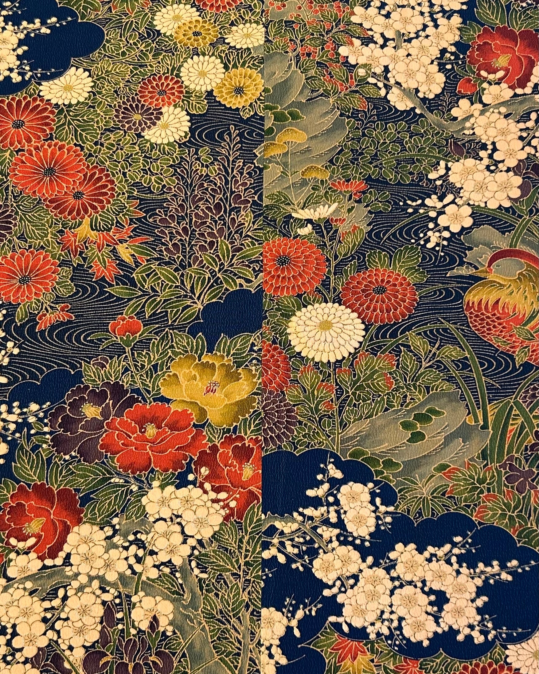 シュッケニ(81cm丈) – タグ 